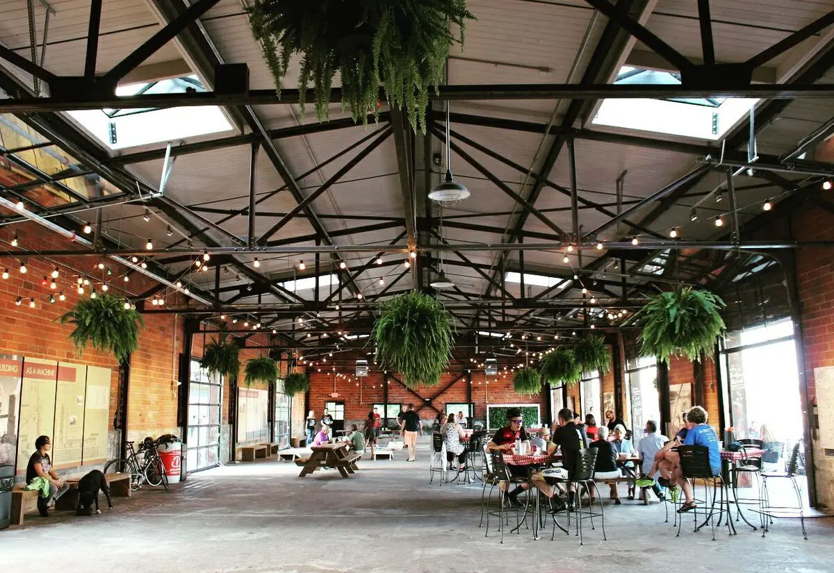 The image shows a spacious indoor café with high ceilings and exposed beams, where people are sitting at tables enjoying their time, surrounded by hanging green plants and warm string lights.